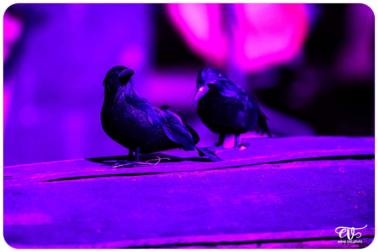 LA FABRIQUE DES RÊVES (EX NIHILO WISSEMBOURG)